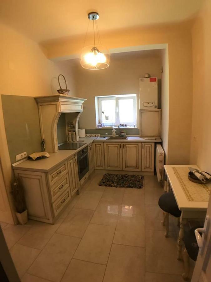 Apartment Vintige Cluj-Napoca Extérieur photo