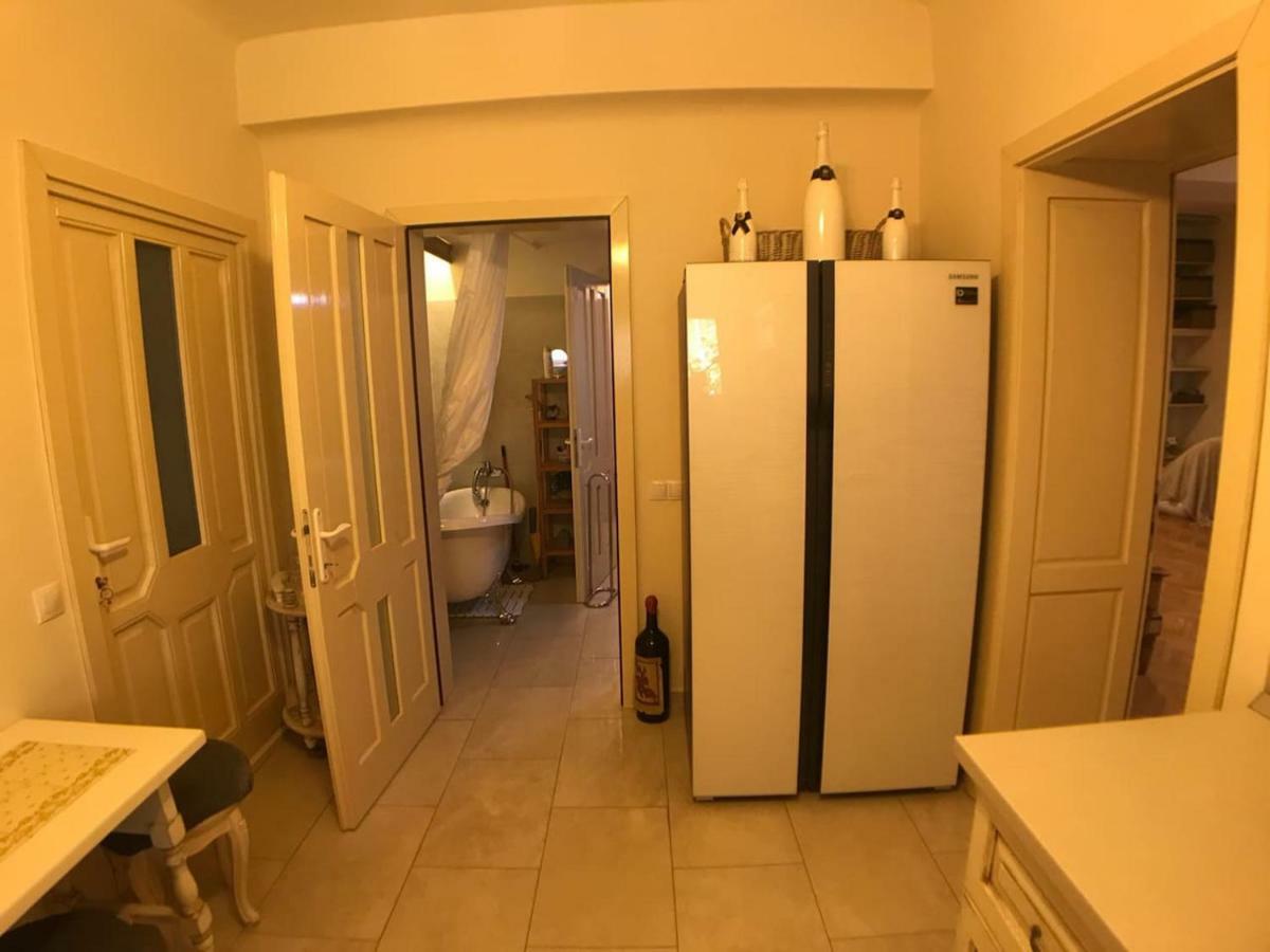 Apartment Vintige Cluj-Napoca Extérieur photo